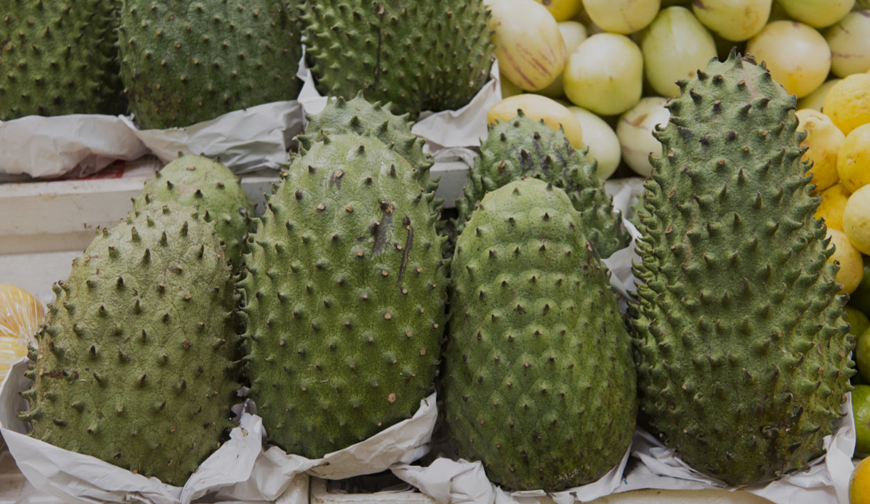 Soursop - 16oz varieties