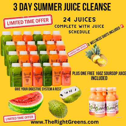 3 Day Summer Juice Cleanse