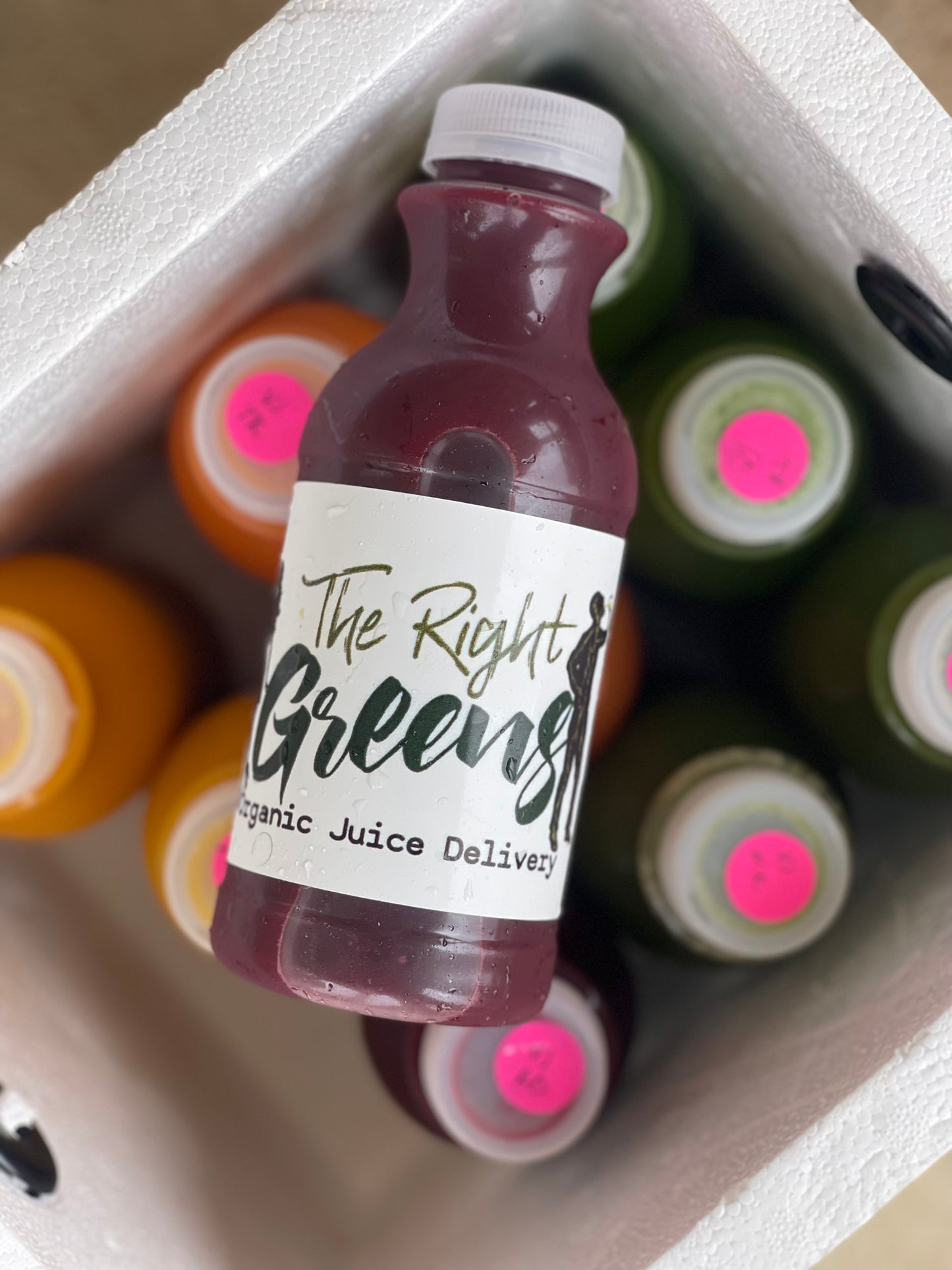 🎉BLACK FRIDAY $99 FIVE DAY VARIETY PACK WITH FREE SHIPPING ANYWHERE IN THE U.S.A 🎉